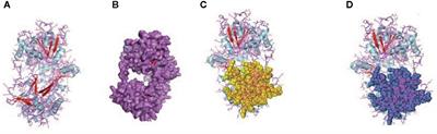 RIG-I Has a Role in Immunity Against Haemonchus <mark class="highlighted">contortus</mark>, a Gastrointestinal Parasite in Ovis aries: A Novel Report
